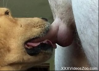 XXXVideosZoo