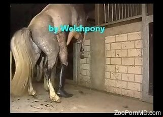 ZooPornMD
