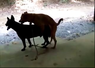 На природе